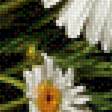 Preview of cross stitch pattern: #2991199