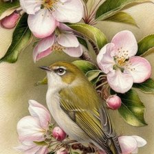 Cross stitch pattern: #2991260