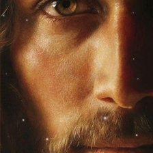 Cross stitch pattern: #2991482
