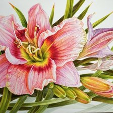 Cross stitch pattern: #2991784