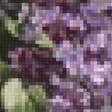 Preview of cross stitch pattern: #2991797