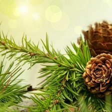 Cross stitch pattern: #2991984