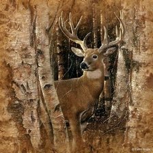 Cross stitch pattern: #2992110