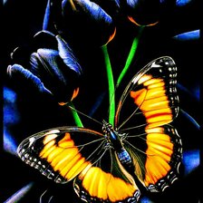 Cross stitch pattern: #2992612