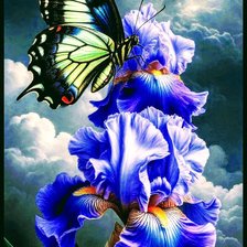 Cross stitch pattern: #2992617