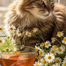 Cross stitch pattern: #2993376