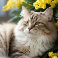 Cross stitch pattern: #2993377