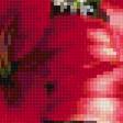 Preview of cross stitch pattern: #2994584