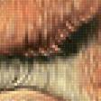 Preview of cross stitch pattern: #2994626