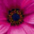 Preview of cross stitch pattern: #2995222