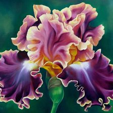 Cross stitch pattern: #2995617