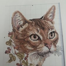 Cross stitch pattern: My Cat