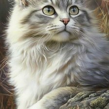 Cross stitch pattern: #2996203