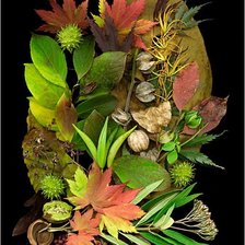 Cross stitch pattern: #2996337
