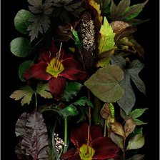 Cross stitch pattern: #2996338