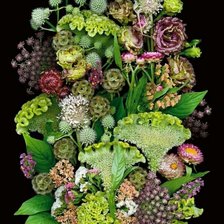 Cross stitch pattern: #2996339