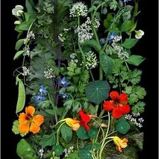 Cross stitch pattern: #2996340