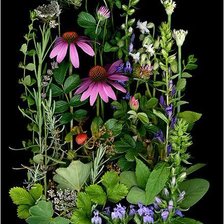 Cross stitch pattern: #2996343