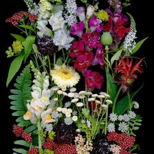 Cross stitch pattern: #2996344