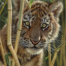 Cross stitch pattern: #2996391