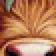 Preview of cross stitch pattern: #2996434