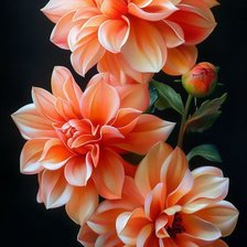 Cross stitch pattern: #2996534