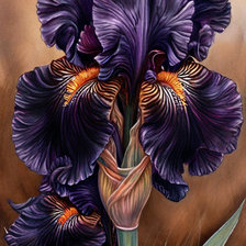 Cross stitch pattern: #2996578
