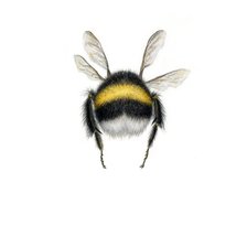 Cross stitch pattern: #2997040