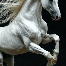 Cross stitch pattern: #2997514