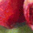 Preview of cross stitch pattern: #2998983