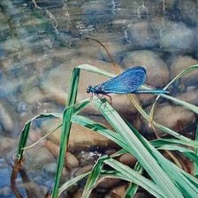 Cross stitch pattern: #2998990