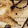 Preview of cross stitch pattern: #2999156