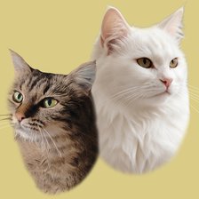 Cross stitch pattern: #2999676