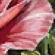 Preview of cross stitch pattern: #2999818