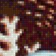Preview of cross stitch pattern: #2999867