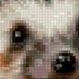 Preview of cross stitch pattern: #2999875
