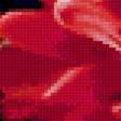 Preview of cross stitch pattern: #3000046