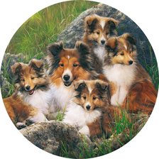 Cross stitch pattern: #3000290