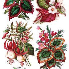 Cross stitch pattern: #3000710