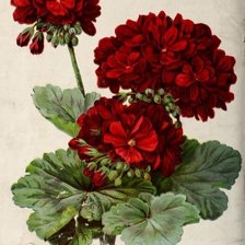 Cross stitch pattern: #3000714