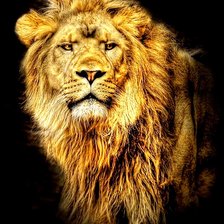 Cross stitch pattern: #3001165