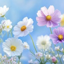 Cross stitch pattern: #3001263