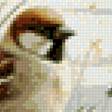 Preview of cross stitch pattern: #3001282