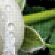 Preview of cross stitch pattern: #3001405