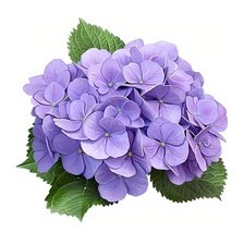 Cross stitch pattern: #3002150