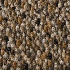 Cross stitch pattern: #3002779