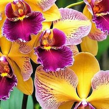 Cross stitch pattern: #3003897