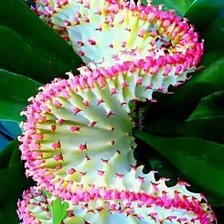 Cross stitch pattern: #3003901