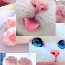 Cross stitch pattern: #3003991