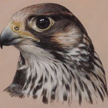 Cross stitch pattern: #3004282